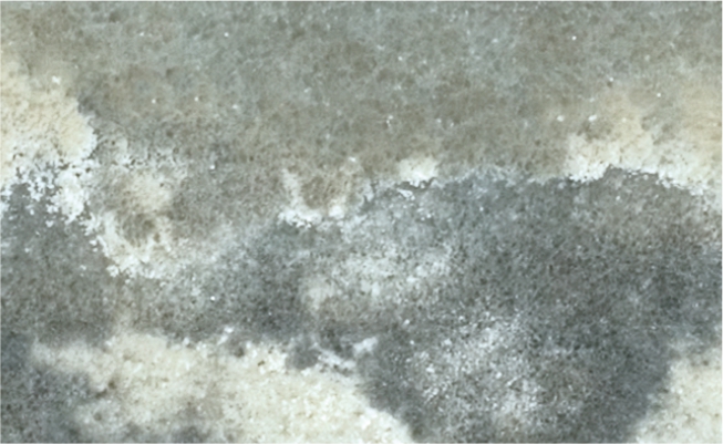 Grey Onyx